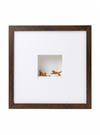 Golden - Quadro