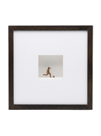 Chute ao gol - Quadro